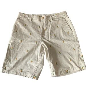 🌺OLD NAVY Men’s Pineapple Print Cotton Shorts in Lt. Tan Size 32 — FUN!!!🌺